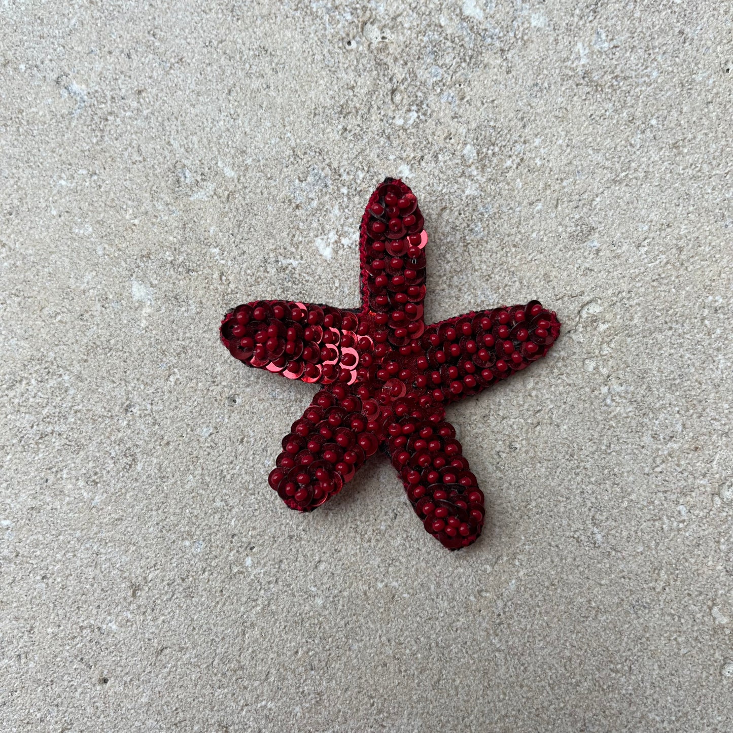 Starfish brooch