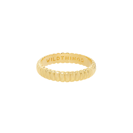 Treasure ring