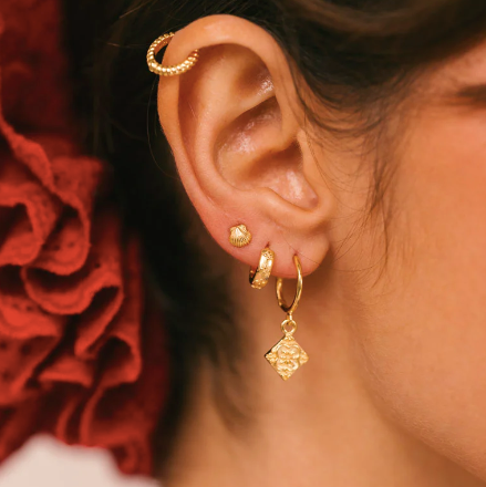 Shell stud gold