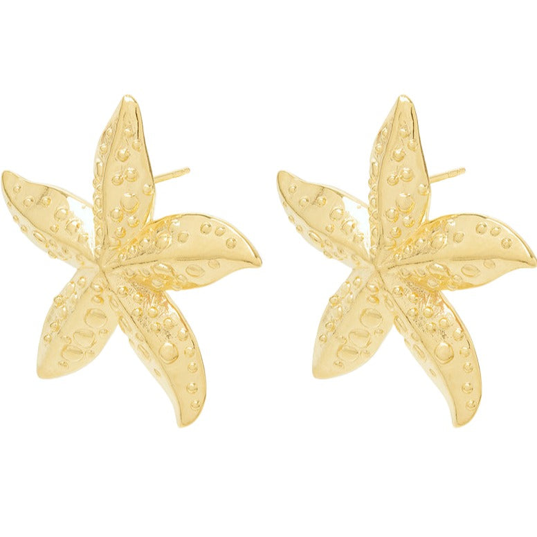 Starfish earrings