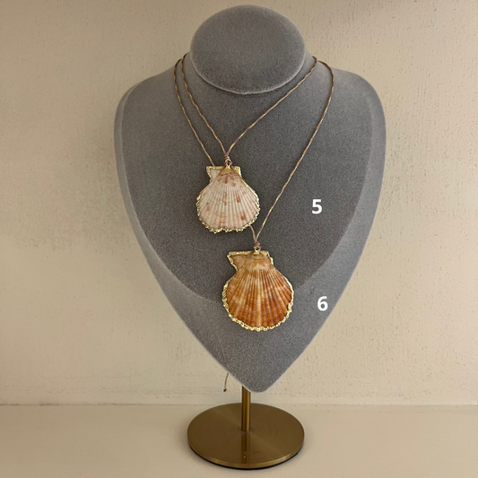 Shell necklace