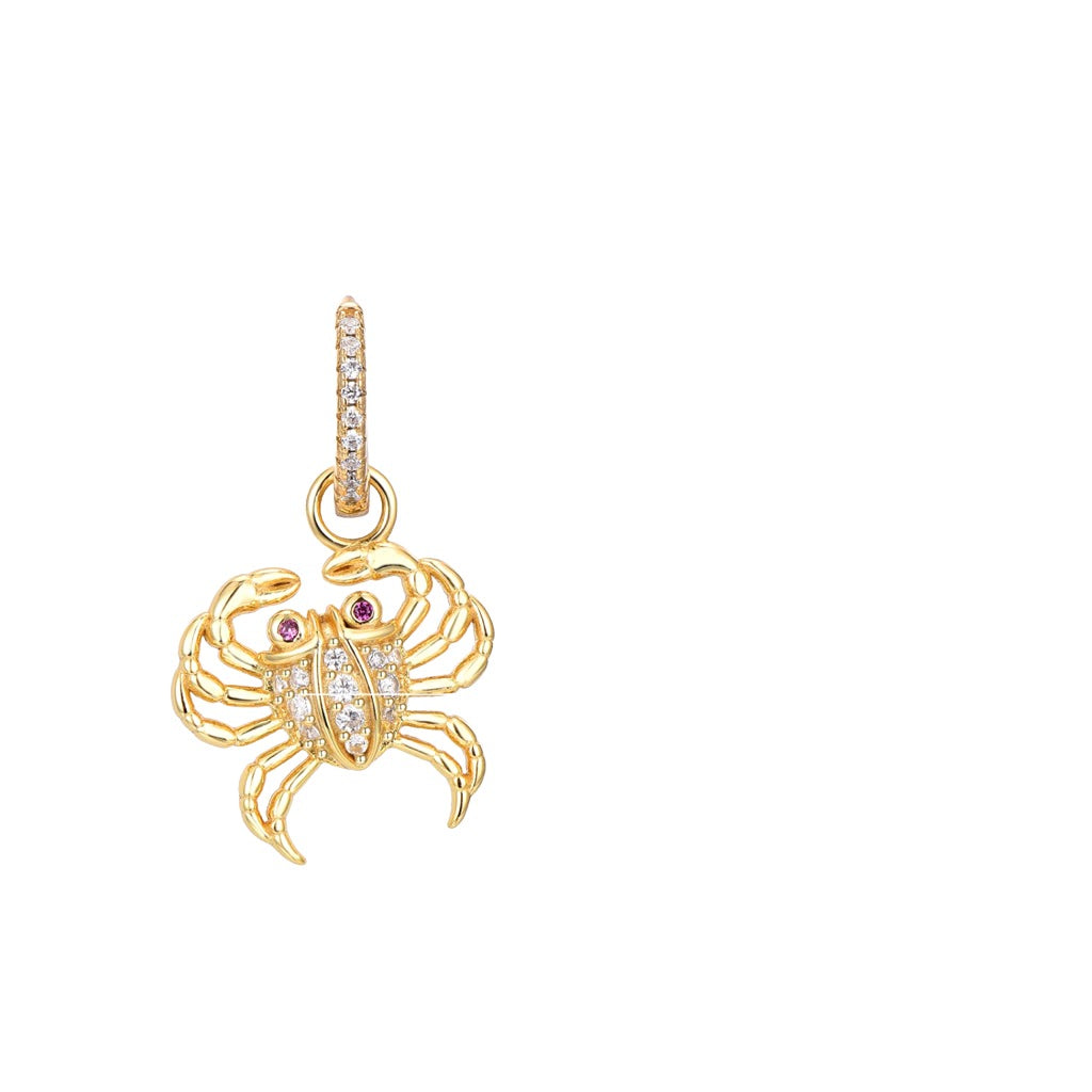 Crab hoop