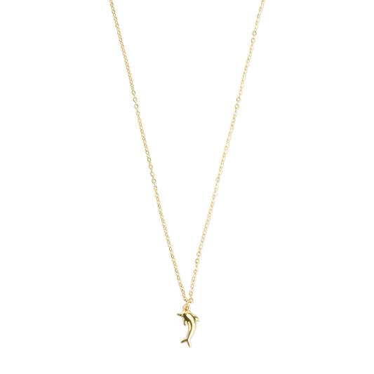 Dolphin necklace