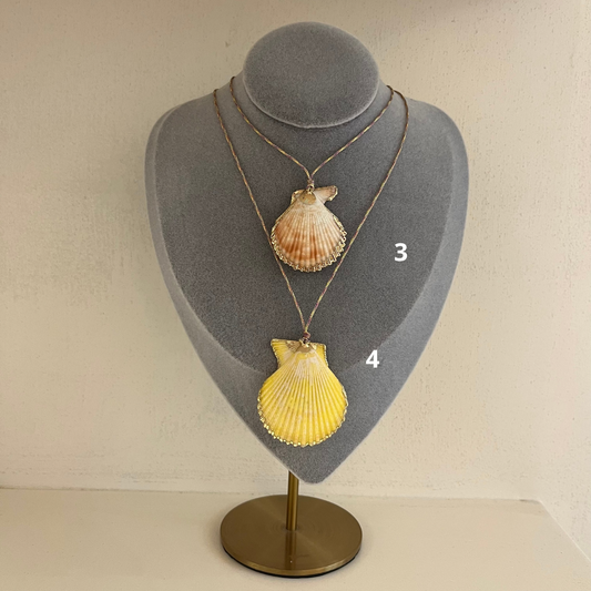 Shell necklace