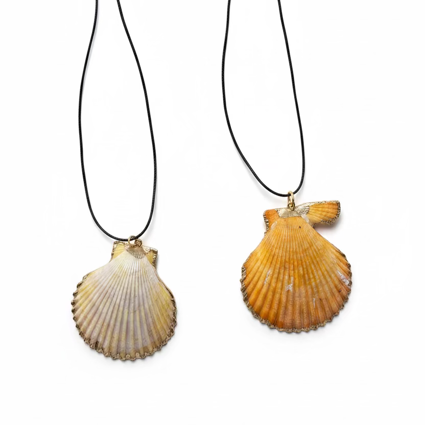 Shell necklace