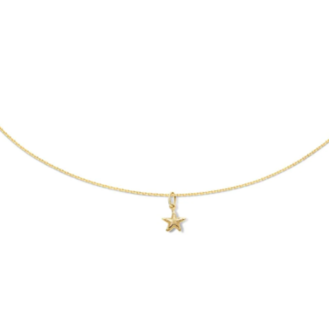 Starfish necklace 14k gold