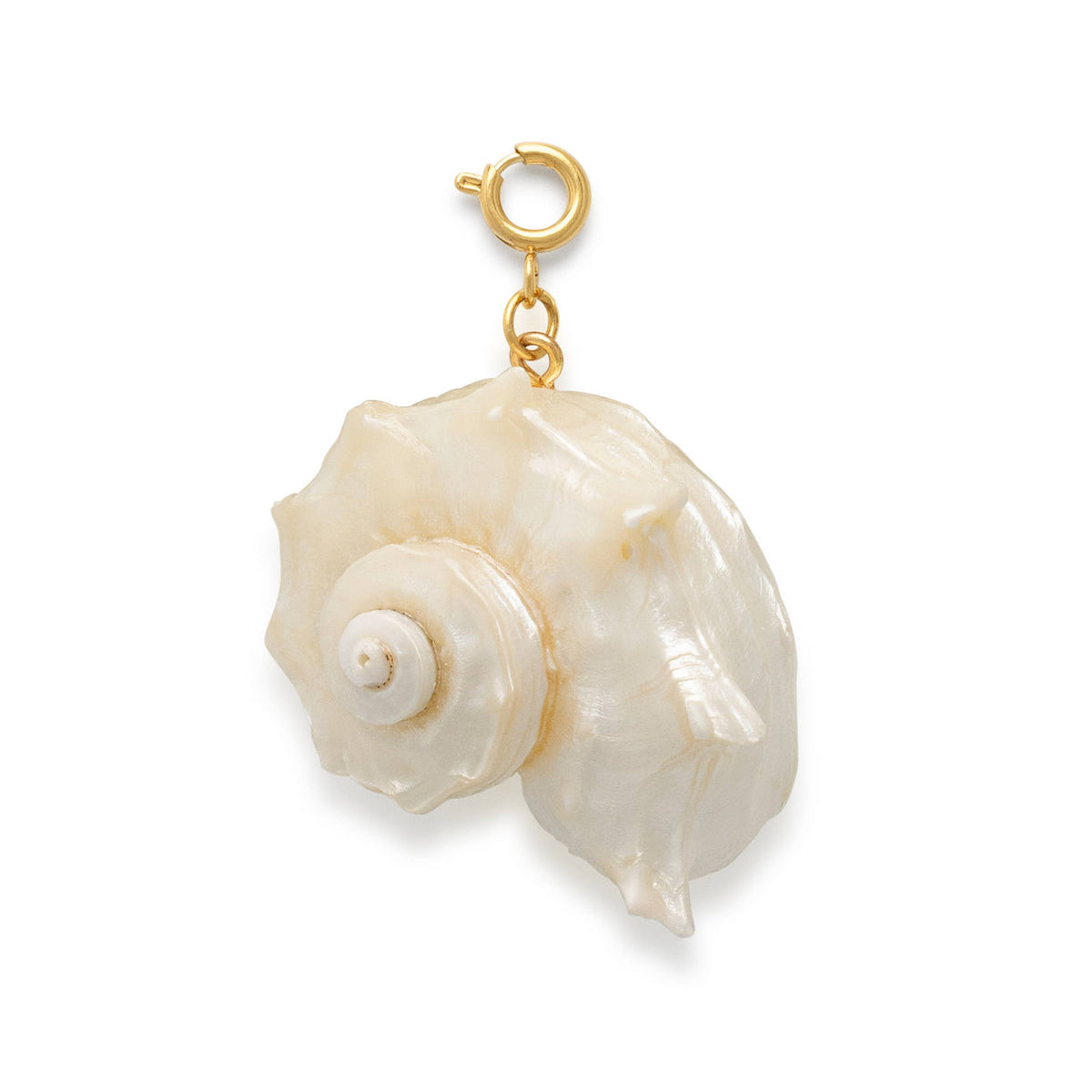 Shell charm