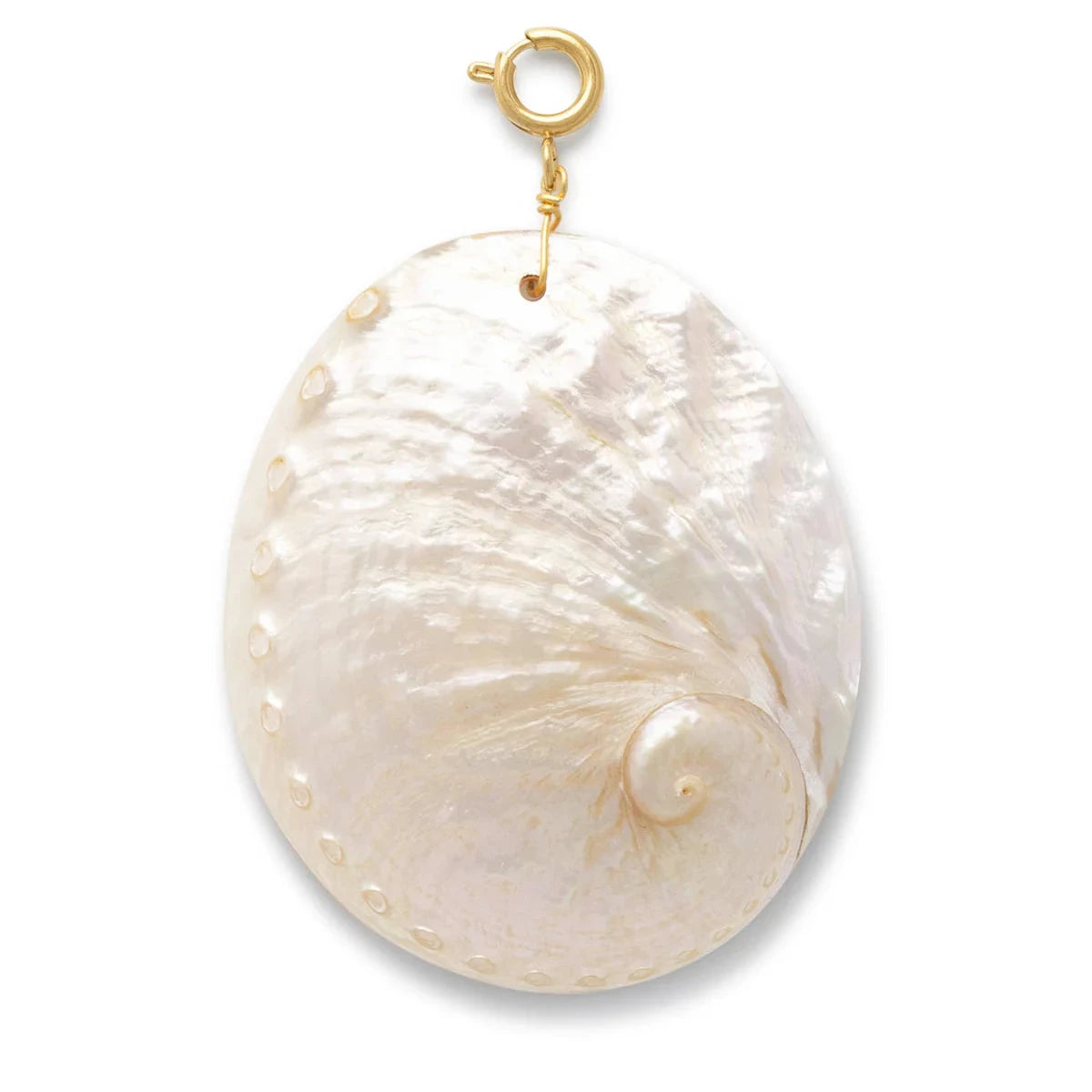 Oval shell charm